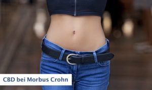 CBD bei Morbus Crohn