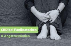 Hilft CBD bei Panikattacken & Angstzustaenden