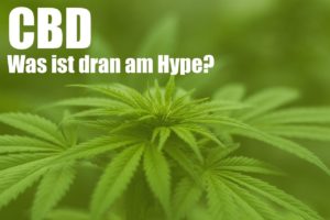 CBD - Was ist dran am Hype?
